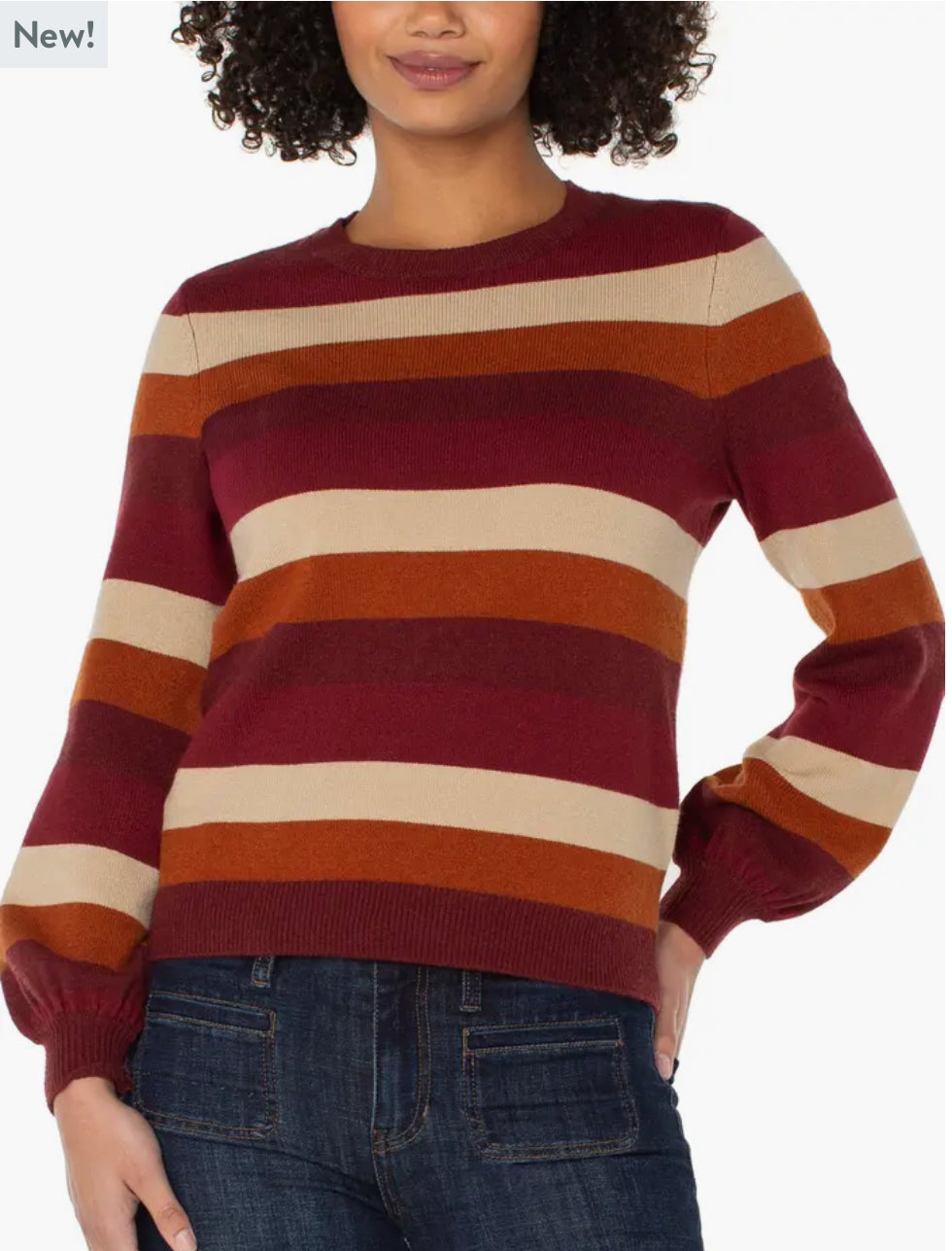 Crew Neck Multi Stripe Sweater