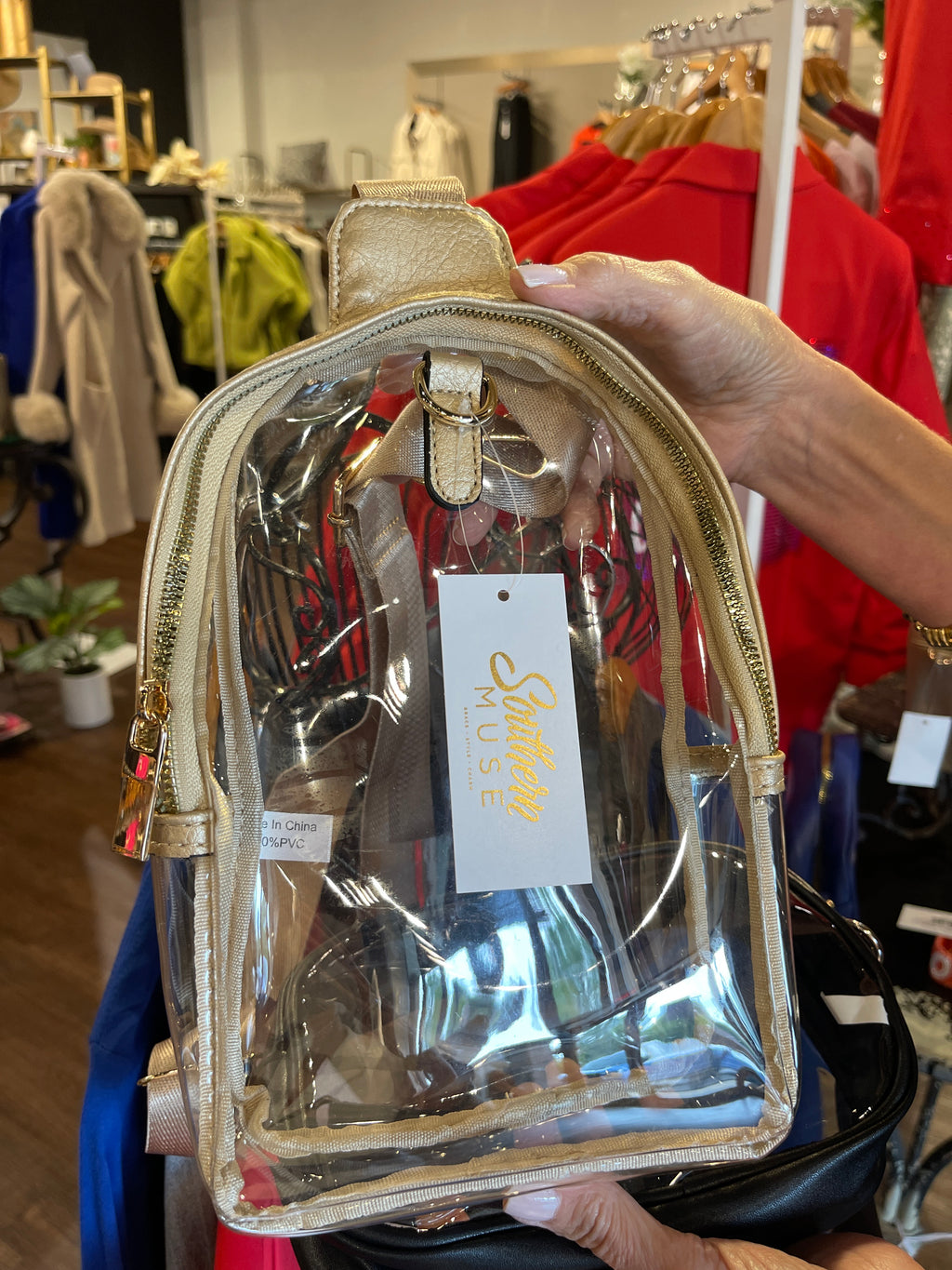 Clear Stadium Backpack