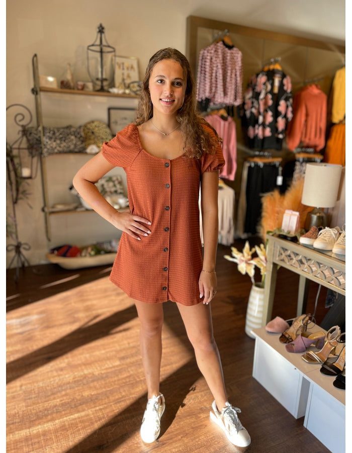 Button Up Woven Dress