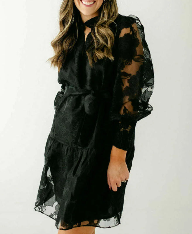 Lace Overlay Dress