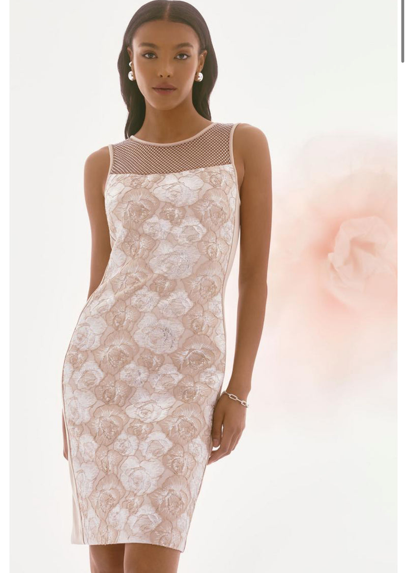 Nude Rose Overlay Dress