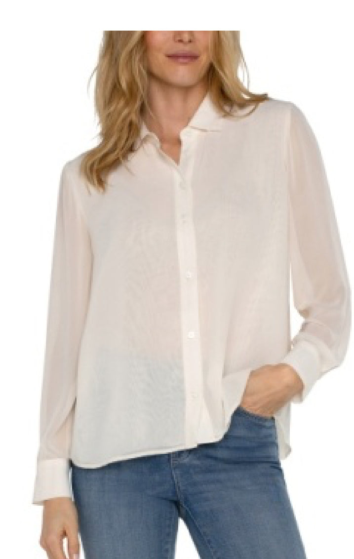 Back Pleat Blouse