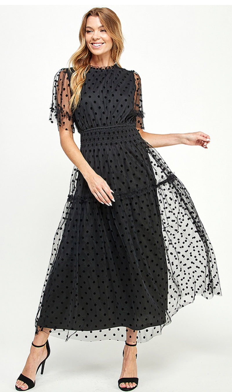 Mesh Polks Dot Dress