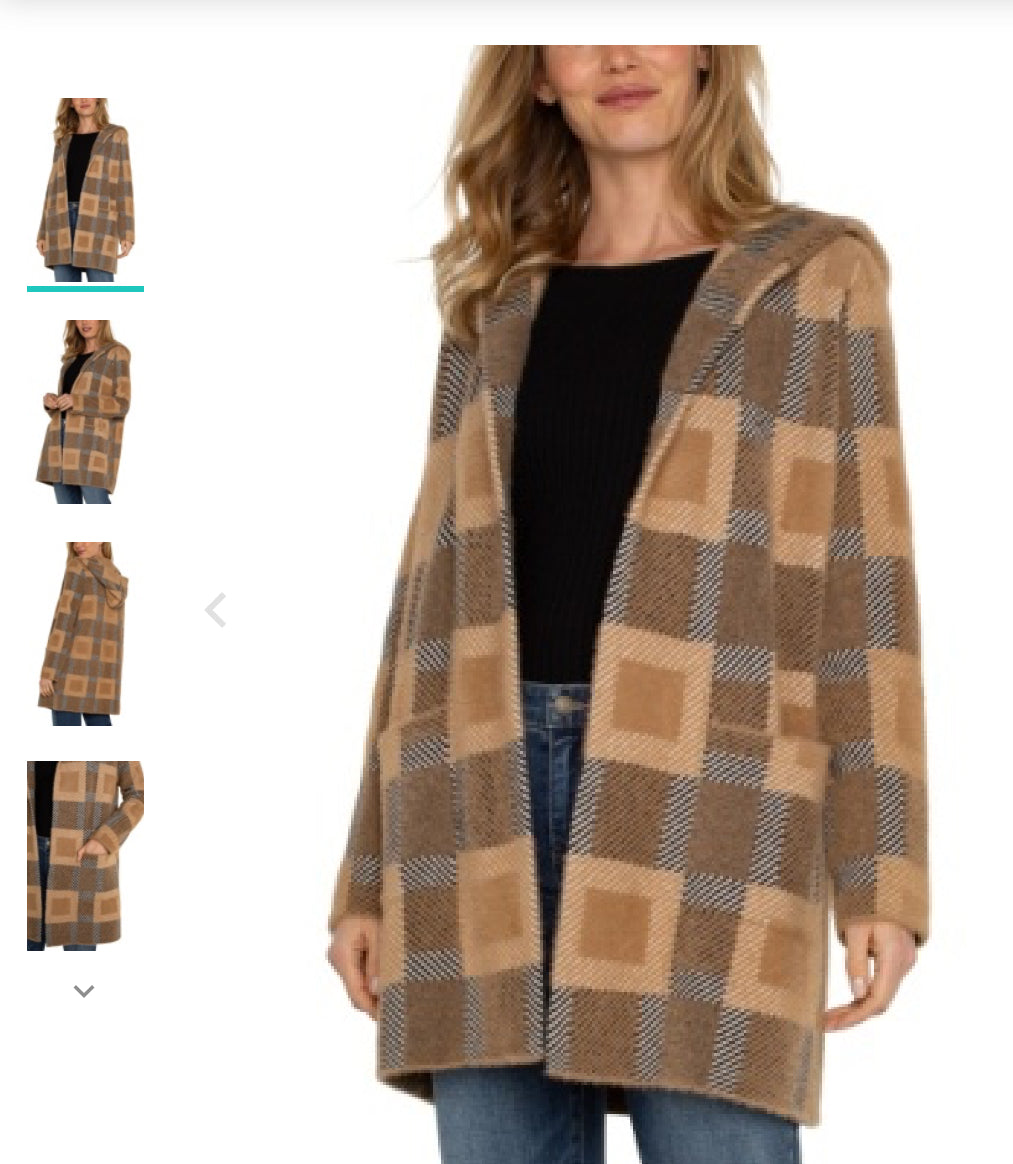 Plaid Hooded Jacket