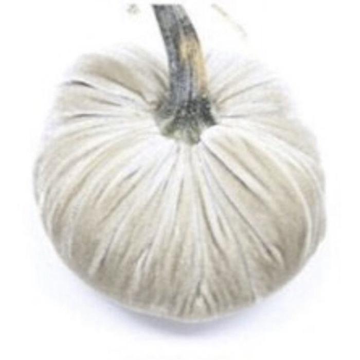10" Silk Velvet Pumpkin