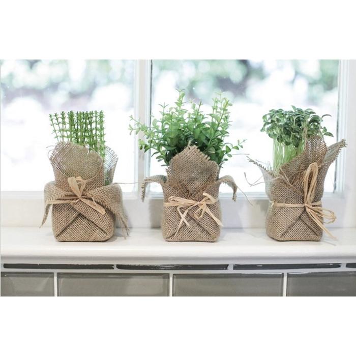 Burlap Potted Herb
